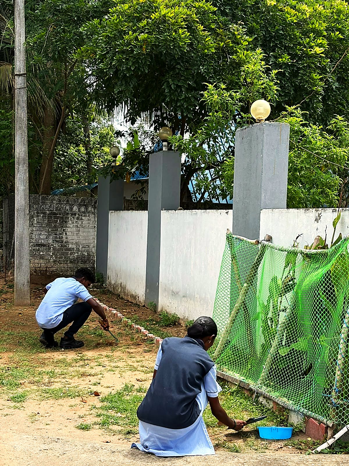 Two members of staff crouched by the compound wall, planting and weeding a border.