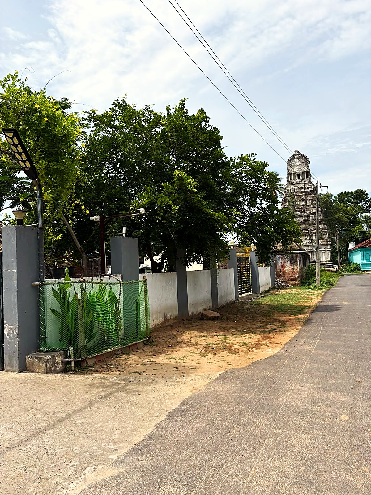 The village road outside the office, with the compound wall on one side and a temple gopuram rising above the trees ahead.